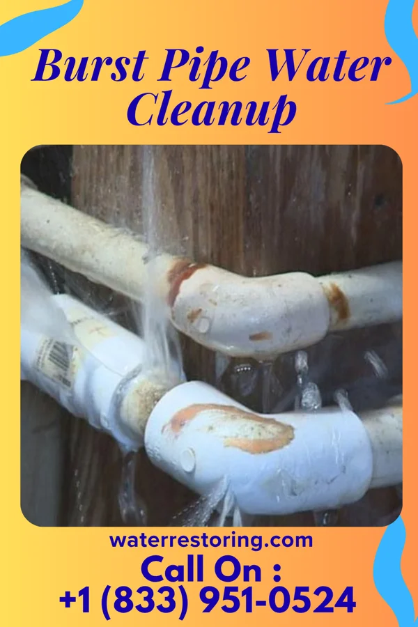 Burst Pipe Water Cleanup in Setauket, NY