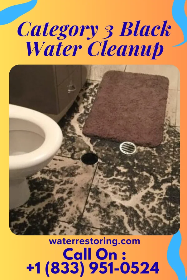 Category 3 Black Water Cleanup in Setauket, NY