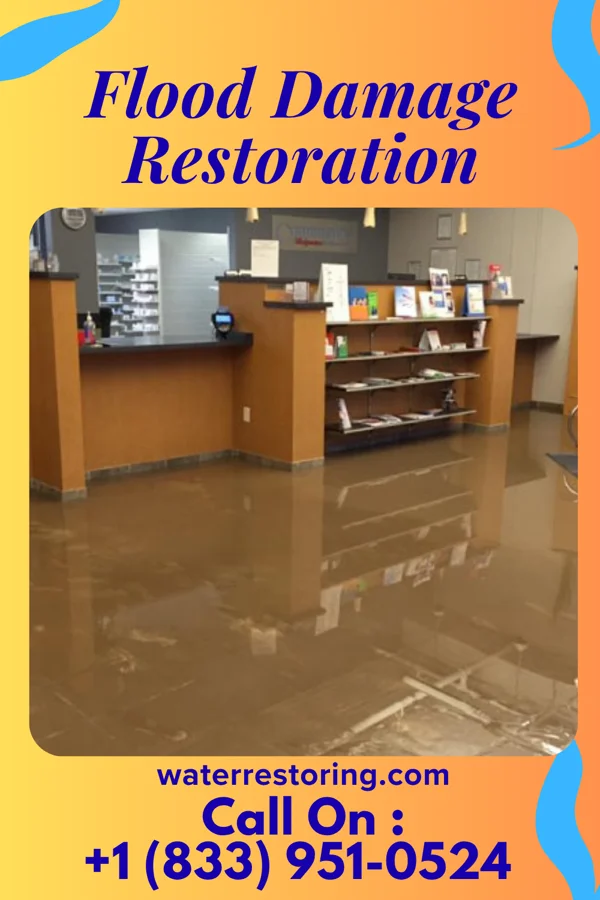 Flood Damage Restoration in Setauket, NY