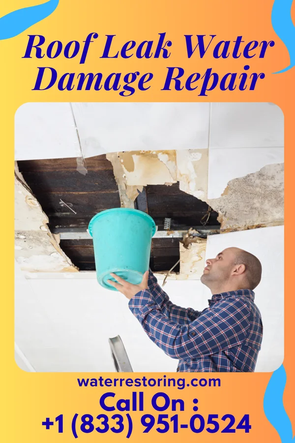 Roof Leak Water Damage Repair in Setauket, NY