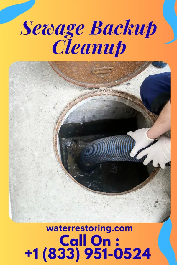 Sewage Backup Cleanup in Setauket, NY
