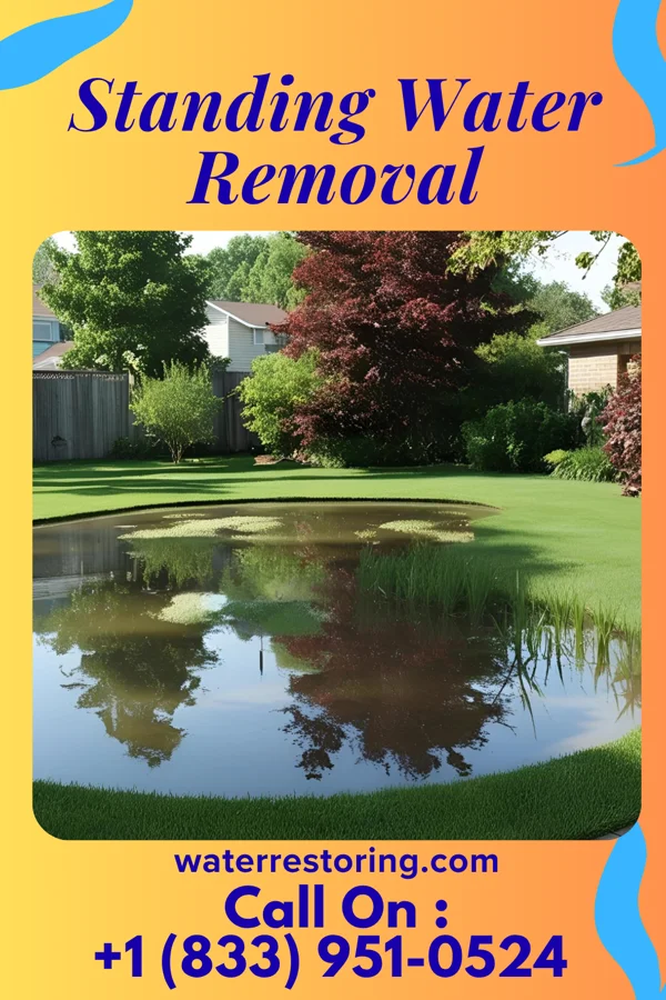 Standing Water Removal in Setauket, NY